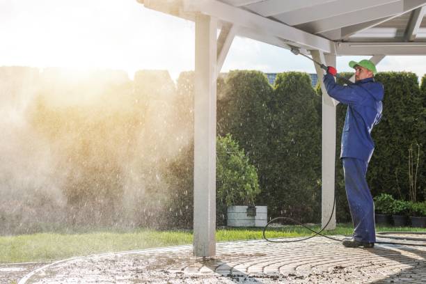 Best Animal Enclosure Cleaning  in Howell, MI